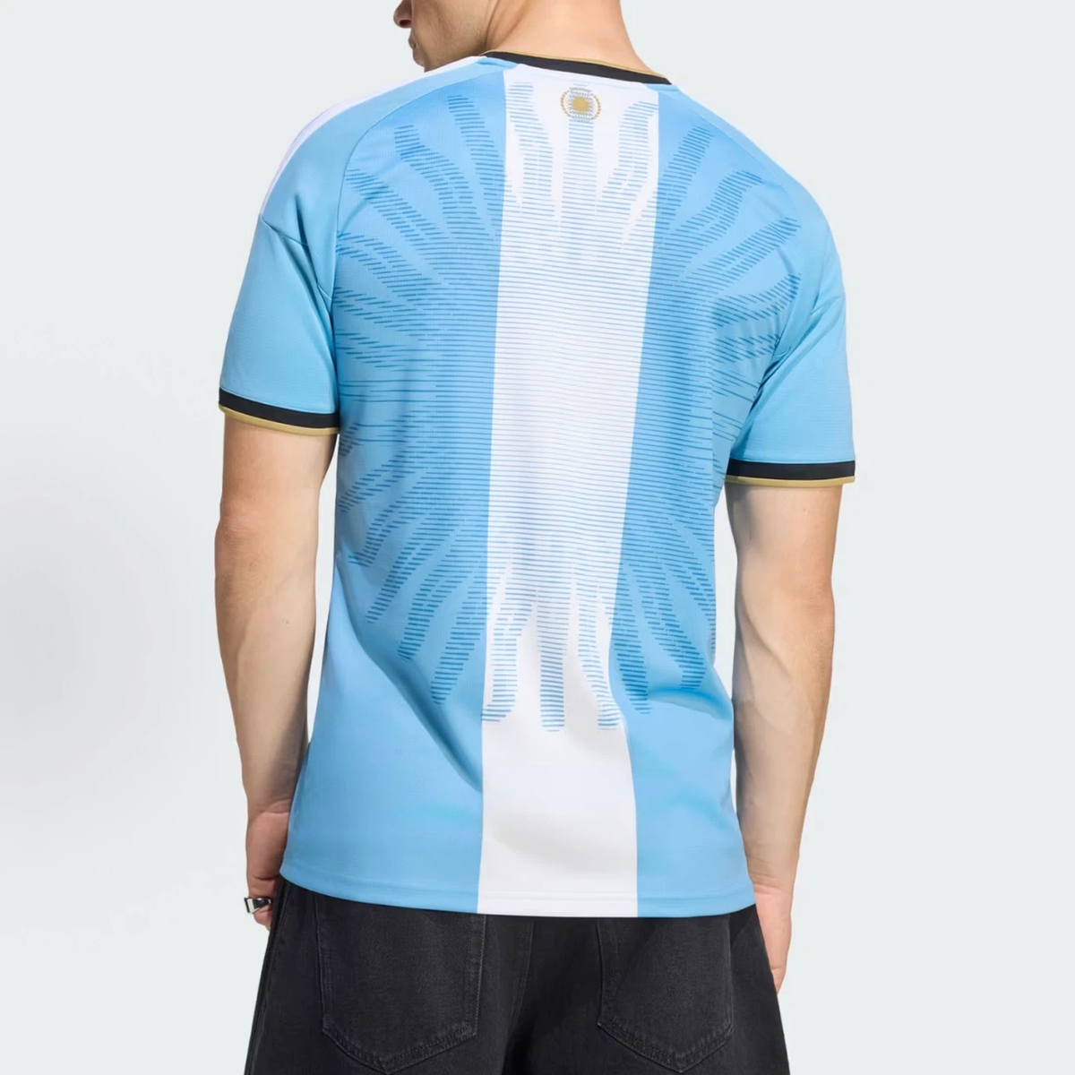 Men Argentina 3 Stars Home Soccer Jersey, Choose Blank or #10 Messi Print